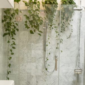 clear shower stall
